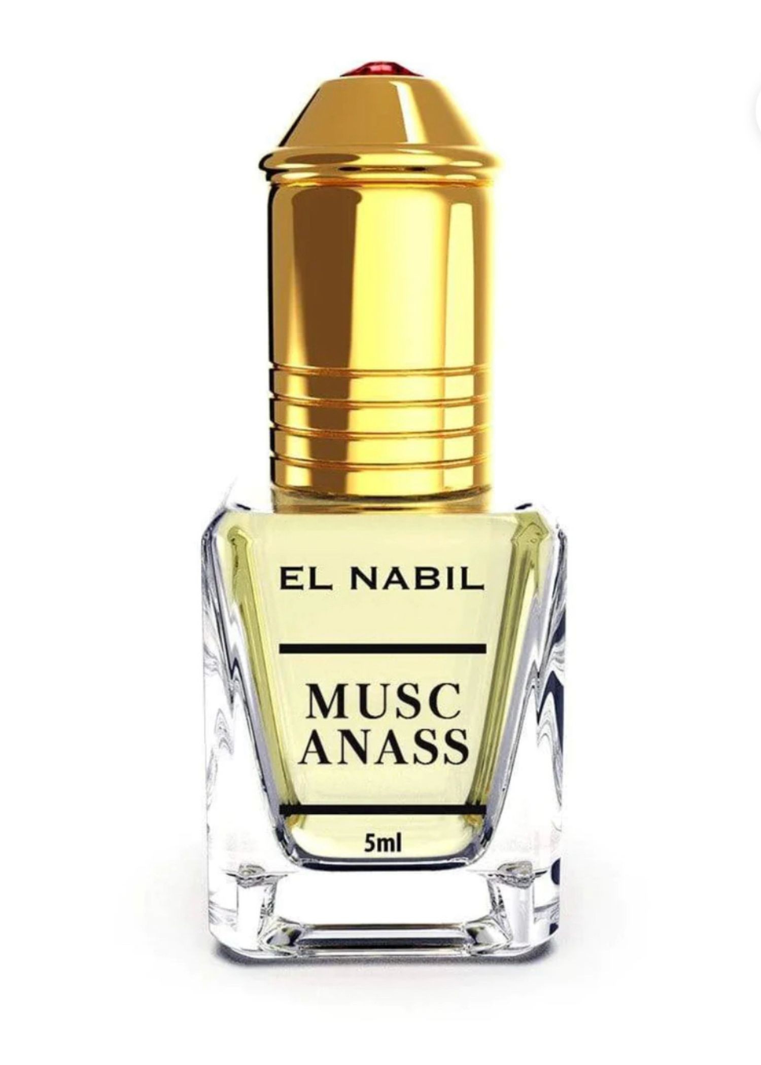 Musc Anass El Nabil Musc Anass El Nabil